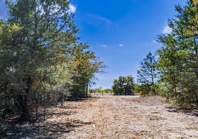 4th image of 12345 County Road 414, Somerville, TX 77879 | MLS# 87015917