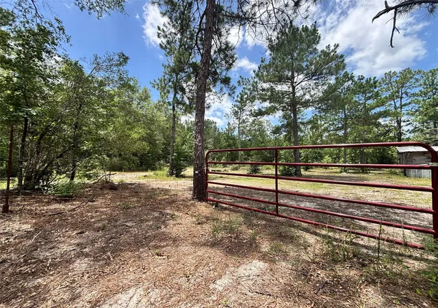 32nd image of 1603 Dammom Ln, Kountze, TX 77625 | MLS# 98192650