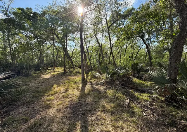 1st image of Tract 1 County Road 332, Sweeny, TX 77480 | MLS# 90568971