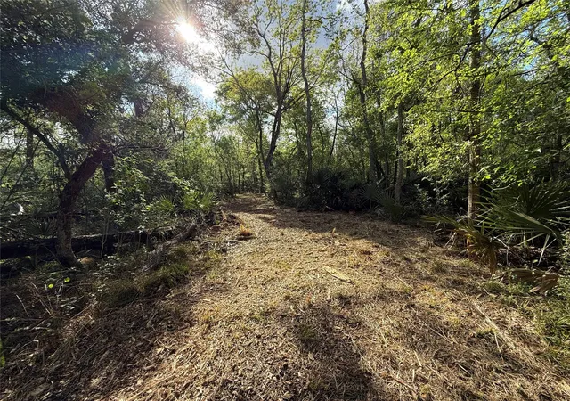 Photo 3 of Land for sale at Tract 1 County Rd 332, Sweeny, TX 77480 | MLS# 90568971 | Listing updated on 2026-08-24