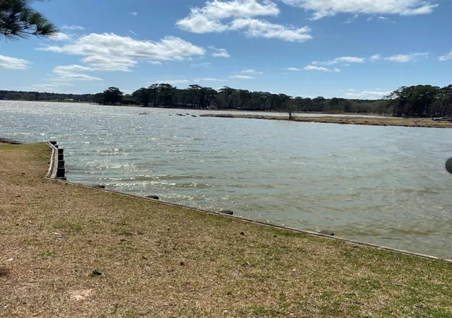 Photo 2 of Land for sale at 370 Dawns Edge, Trinity, TX 75862 | MLS# 89194890 | Listing updated on 2026-04-15