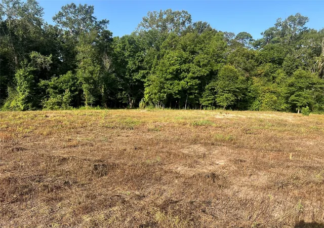 Photo 1 of Land for sale at Tbd 14 Upper Leggett Rd, Leggett, TX 77350 | MLS# 46297696 | Listing updated on 2026-08-07