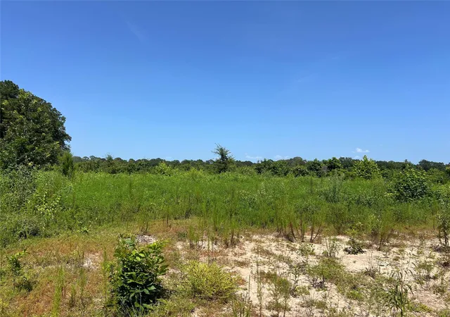 Photo 3 of Land for sale at Tbd 14 Upper Leggett Rd, Leggett, TX 77350 | MLS# 46297696 | Listing updated on 2026-08-07