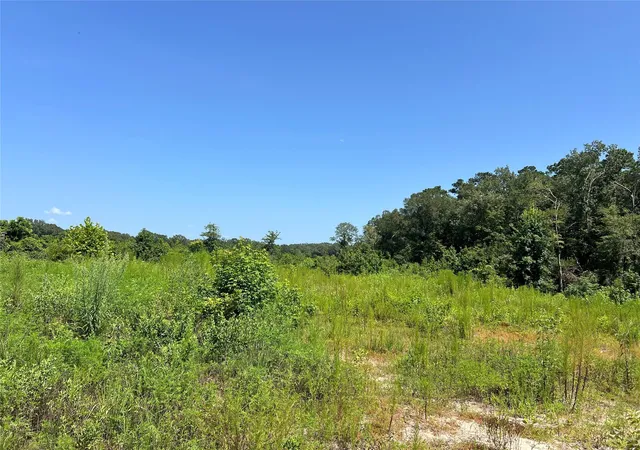 Photo 3 of Land for sale at Tbd 14 Upper Leggett Rd, Leggett, TX 77350 | MLS# 46297696 | Listing updated on 2026-08-07