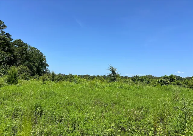 Photo 4 of Land for sale at Tbd 14 Upper Leggett Rd, Leggett, TX 77350 | MLS# 46297696 | Listing updated on 2026-08-07