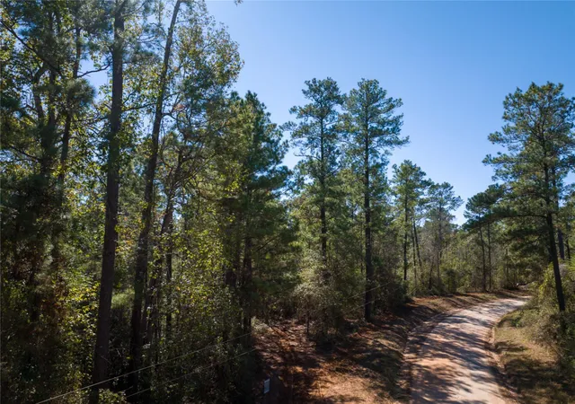 5th image of T-8 Eldridge Road, Cleveland, TX 77328 | MLS# 3677741