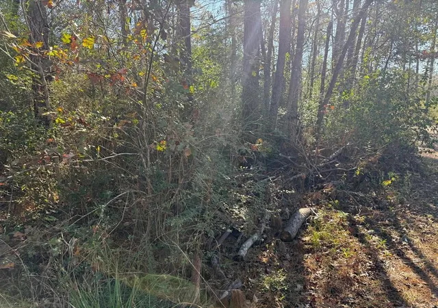 Photo 2 of Land for sale at 00 Shady Ln, Houston, TX 77336 | MLS# 8926303 | Listing updated on 2026-04-24