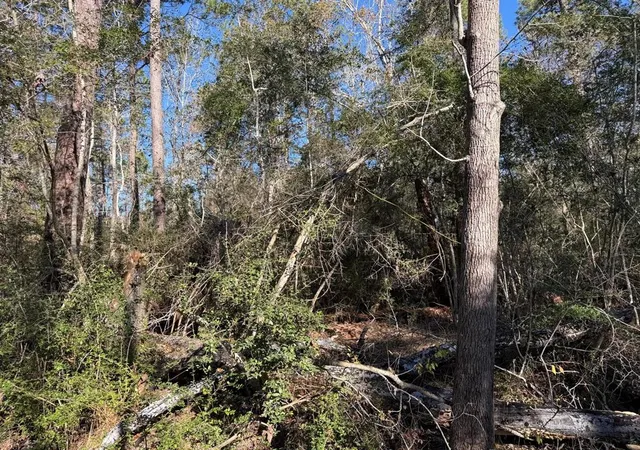 Photo 3 of Land for sale at 00 Shady Ln, Houston, TX 77336 | MLS# 8926303 | Listing updated on 2026-04-24