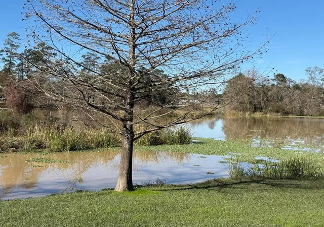 Photo 4 of Land for sale at 00 Shady Ln, Houston, TX 77336 | MLS# 8926303 | Listing updated on 2026-04-24