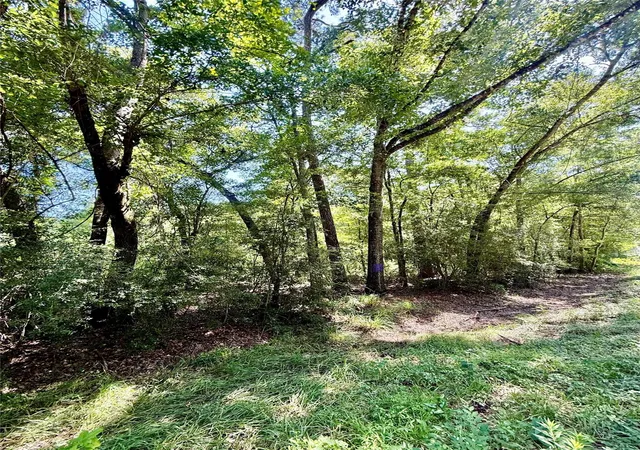 2nd image of Tbd Lot 3 Rolling Hills Dr, Porter, TX 77365 | MLS# 36999452