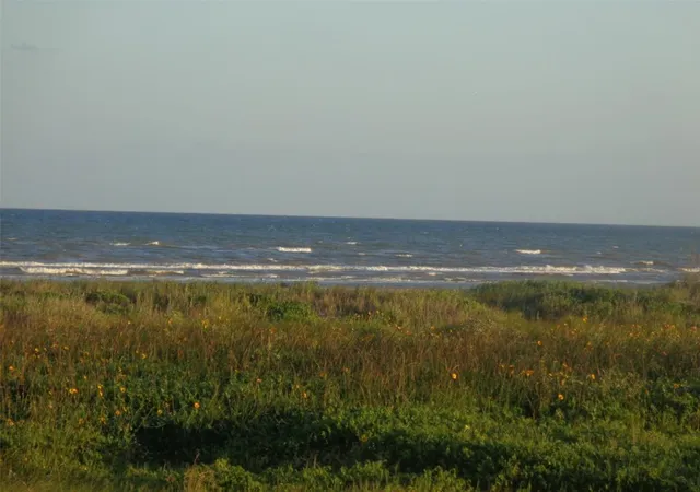 Photo 4 of Land for sale at Tr 47 San Luis Pass Rd, Galveston, TX 77554 | MLS# 93584739 | Listing updated on 2025-12-12