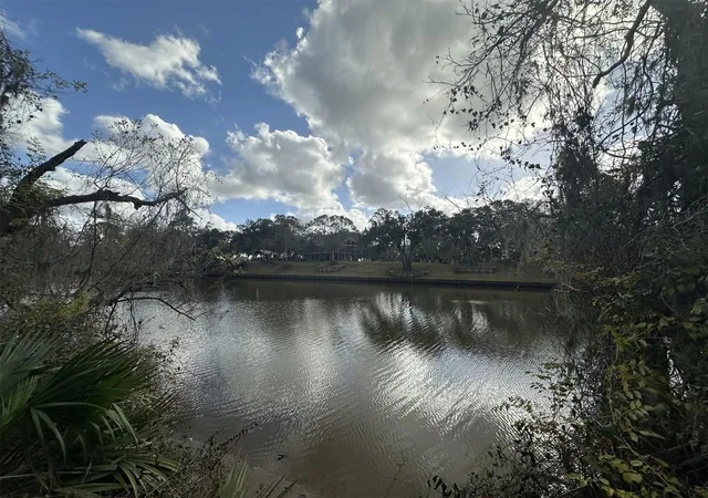 Photo 1 of Land for sale at 0 County Rd 244a, Brazoria, TX 77422 | MLS# 44035547 | Listing updated on 2026-02-11