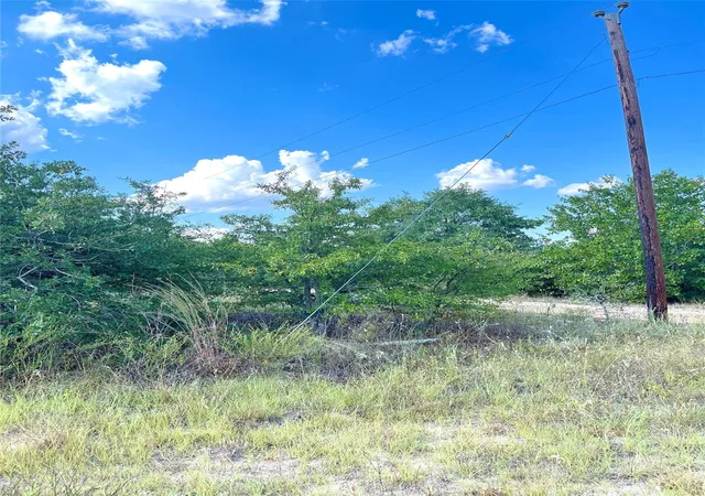 4th image of Tbd Ponderosa Loop, Paige, TX 78659 | MLS# 38647602