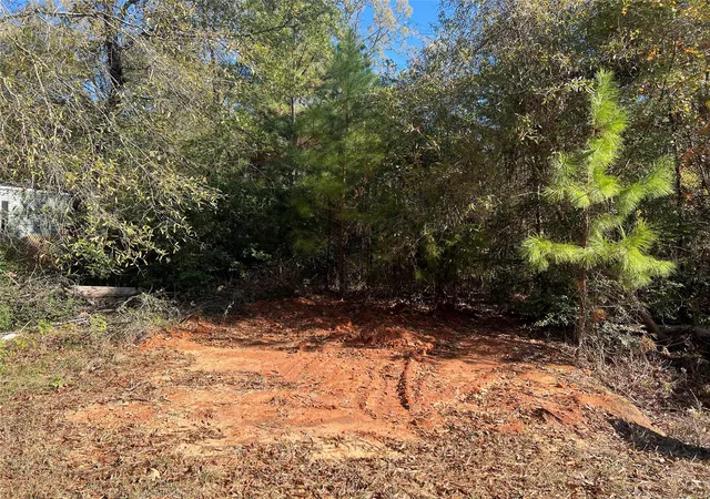Photo 1 of Land for sale at 126 Moonlite Dr, Livingston, TX 77351 | MLS# 16666473 | Listing updated on 2026-04-14