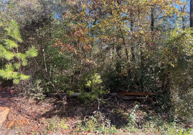 Photo 2 of Land for sale at 126 Moonlite Dr, Livingston, TX 77351 | MLS# 16666473 | Listing updated on 2026-04-14