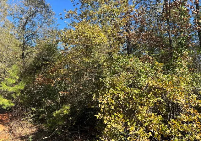 Photo 3 of Land for sale at 126 Moonlite Dr, Livingston, TX 77351 | MLS# 16666473 | Listing updated on 2026-04-14