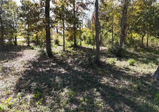 15th image of 13720 Hwy 59, Splendora, TX 77372 | MLS# 38937129