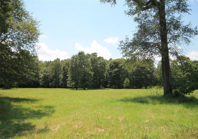 8th image of 783 County Road 377, Cleveland, TX 77327 | MLS# 47184381