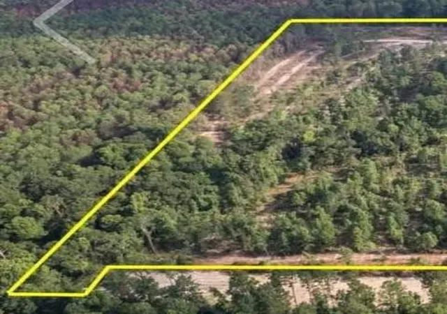Photo 2 of Land for sale at 1 0001 County Rd 2235, Cleveland, TX 77327 | MLS# 5211483 | Listing updated on 2026-02-20
