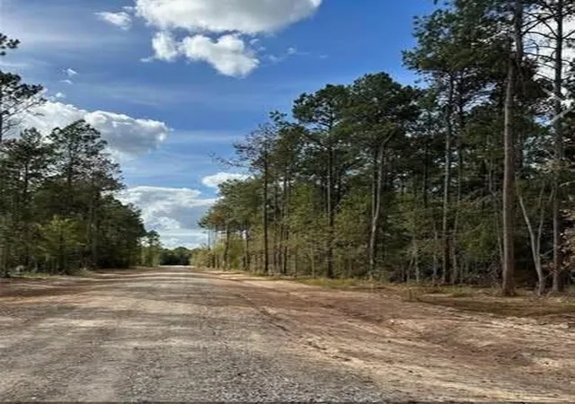 Photo 3 of Land for sale at 1 0001 County Rd 2235, Cleveland, TX 77327 | MLS# 5211483 | Listing updated on 2026-02-20