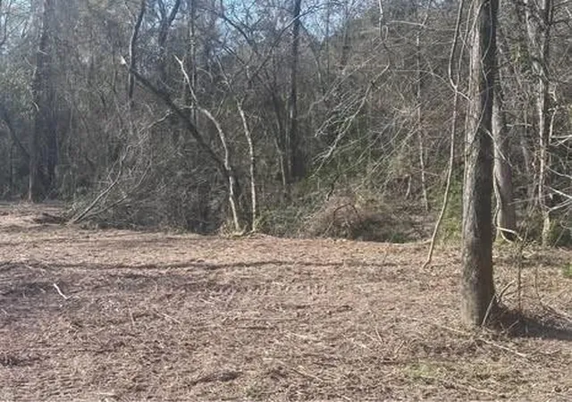 Photo 3 of Land for sale at 1-0001 County Rd 2235, Cleveland, TX 77327 | MLS# 5211483 | Listing updated on 2026-02-20