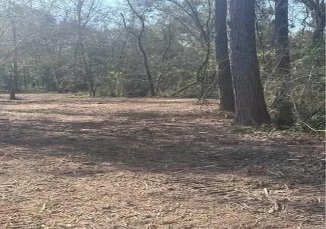 Photo 4 of Land for sale at 1-0001 County Rd 2235, Cleveland, TX 77327 | MLS# 5211483 | Listing updated on 2026-02-20