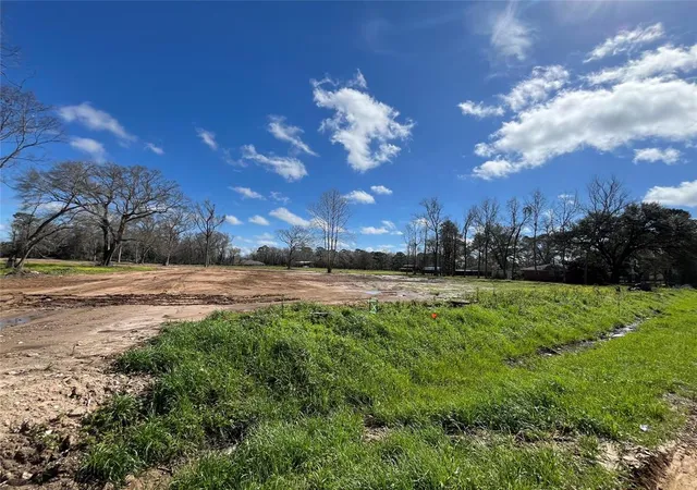 Photo 3 of Land for sale at 805 S Winfree St, Dayton, TX 77535 | MLS# 36911714 | Listing updated on 2026-08-17