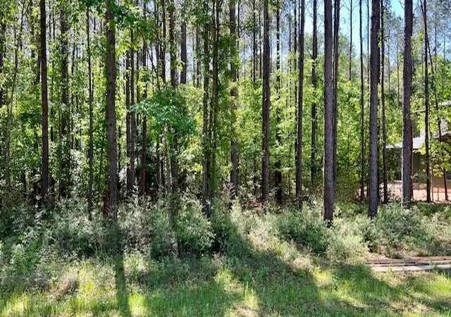 Photo 1 of Land for sale at Tbd Westridge Park, Livingston, TX 77351 | MLS# 32182941 | Listing updated on 2025-12-27