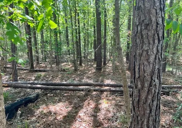 Photo 2 of Land for sale at Tbd Westridge Park, Livingston, TX 77351 | MLS# 32182941 | Listing updated on 2025-12-27