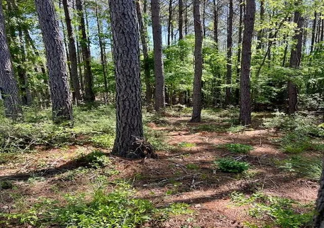 Photo 3 of Land for sale at Tbd Westridge Park, Livingston, TX 77351 | MLS# 32182941 | Listing updated on 2025-12-27