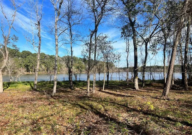 Photo 3 of Land for sale at 20247 W Lakelane, Humble, TX 77338 | MLS# 52888120 | Listing updated on 2026-08-25