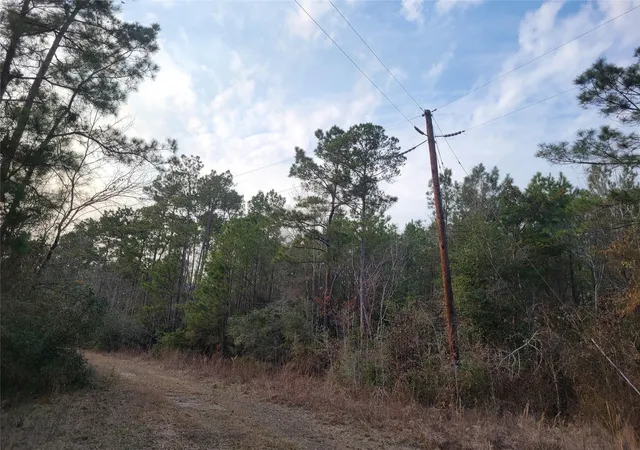 Photo 3 of Land for sale at 617 John Wesley Hardin Dr, Moscow, TX 75960 | MLS# 75563675 | Listing updated on 2026-02-24