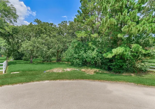 2nd image of 32214 Mink Creek Ct, Magnolia, TX 77355 | MLS# 89132099