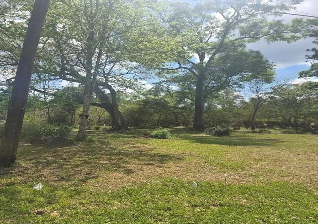 3rd image of Tbd Peach Creek, New Caney, TX 77357 | MLS# 8852913