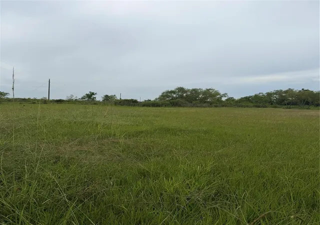 Photo 1 of Land for sale at 1597 Fm 686, Dayton, TX 77535 | MLS# 39626492 | Listing updated on 2026-07-10