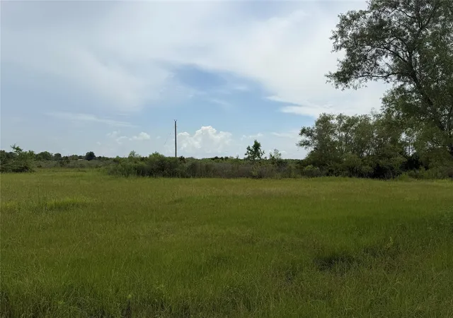 Photo 2 of Land for sale at 1597 Fm 686, Dayton, TX 77535 | MLS# 39626492 | Listing updated on 2026-07-10