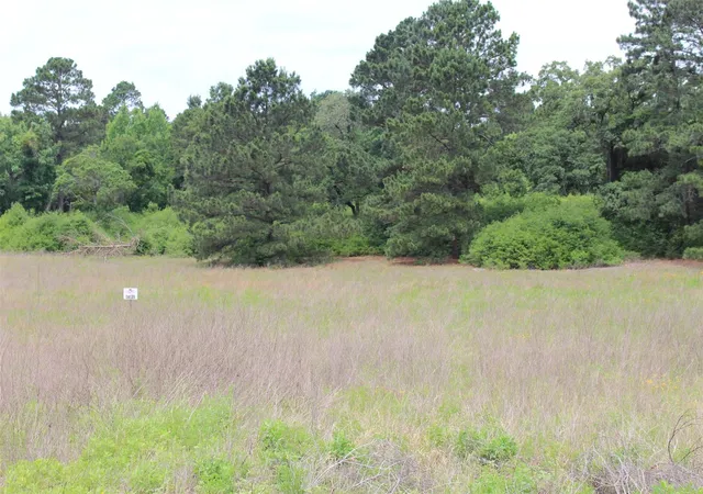 18th image of Tr #39 Pr 1315, Centerville, TX 75833 | MLS# 28169800