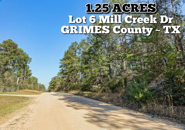 Homes for sale in Plantersville, TX | 13167 Mill Creek Dr N, Plantersville, TX 77363 | MLS# 4405056