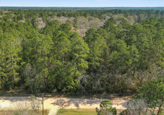 Homes for sale in Plantersville, TX | 13167 Mill Creek Dr N, Plantersville, TX 77363 | MLS# 4405056