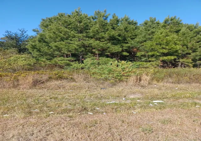 Photo 10 of Land for sale at 179 County Road 3550, Cleveland, TX 77327 | MLS# 30779785 | Listing updated on 2026-04-26