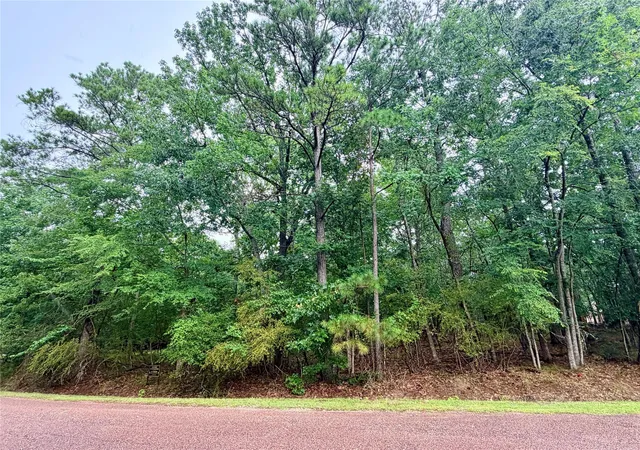 Photo 3 of Land for sale at 85 S Royale Greens Dr, Coldspring, TX 77331 | MLS# 43011964 | Listing updated on 2026-08-27