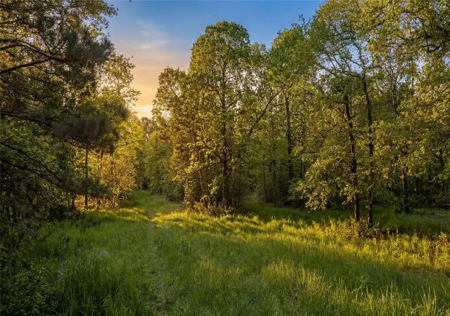 Photo 4 of Land for sale at 1-7-15 Forever Rd, New Waverly, TX 77358 | MLS# 28405606 | Listing updated on 2026-10-10
