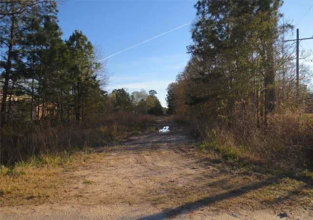 Photo 2 of Land for sale at 12 Acres Off W Relza Rd, Splendora, TX 77372 | MLS# 27457089 | Listing updated on 2026-07-30