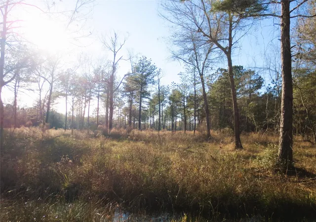 Photo 3 of Land for sale at 12 Acres Off W Relza Rd, Splendora, TX 77372 | MLS# 27457089 | Listing updated on 2026-07-30