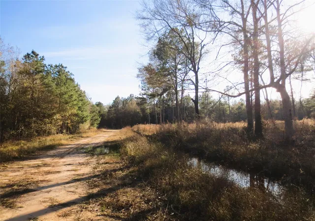 Photo 4 of Land for sale at 12 Acres Off W Relza Rd, Splendora, TX 77372 | MLS# 27457089 | Listing updated on 2026-07-30