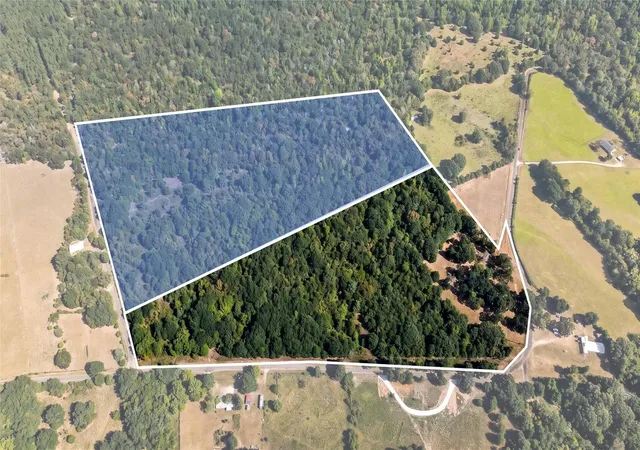 Photo 2 of Land for sale at 0 Fcr 290, Oakwood, TX 75855 | MLS# 86285459 | Listing updated on 2026-08-26