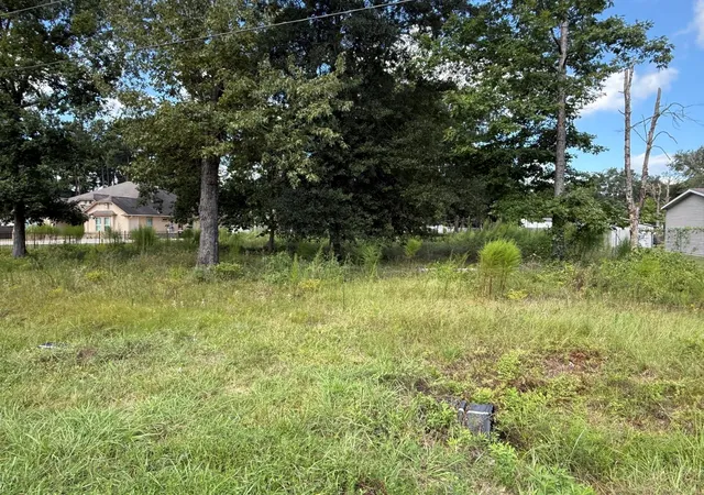 1st image of 23923 Paper Wasp Ln, New Caney, TX 77357 | MLS# 78219501