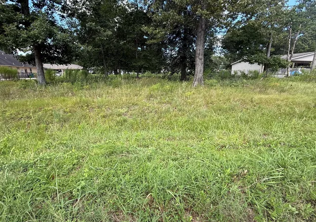 2nd image of 23923 Paper Wasp Ln, New Caney, TX 77357 | MLS# 78219501