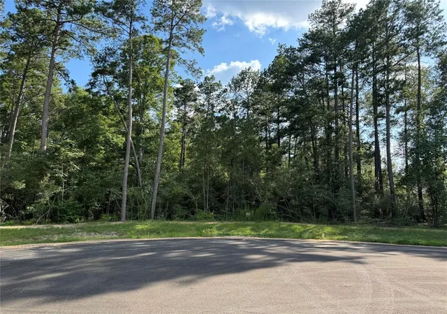 Photo 3 of Land for sale at 15707 Grey Hawk Ln, Willis, TX 77378 | MLS# 23641595 | Listing updated on 2026-09-14