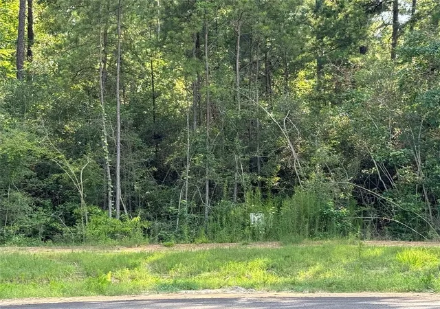 Photo 4 of Land for sale at 15707 Grey Hawk Ln, Willis, TX 77378 | MLS# 23641595 | Listing updated on 2026-09-14